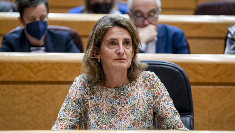 La vicepresidenta del Gobierno responsable de Transición Ecológica, Teresa Ribera