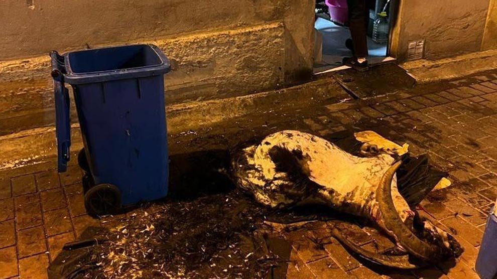 Cabra sacrificada en la puerta trasera del local | Foto- redes sociales