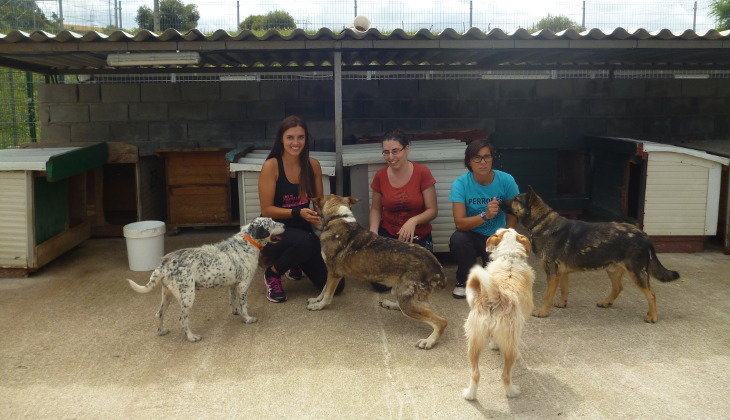 (De izq a derecha) Paula Abascal, Sandra Morales y Beatriz de Diego, tres de las voluntarias del Refugio Canino de Torres