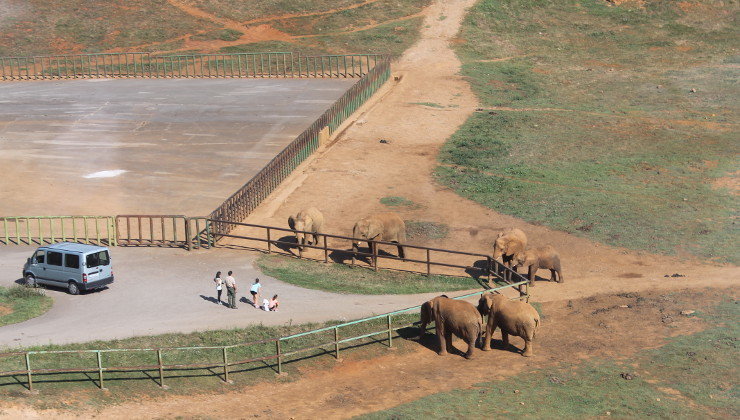 Recinto de los elefantes desde el aire