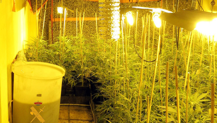 Plantación indoor de marihuana en Treto