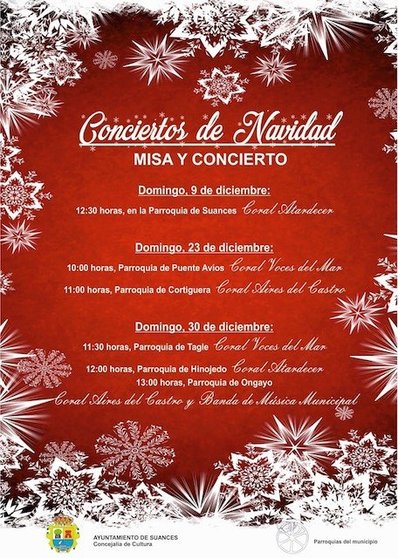 Cartel de los conciertos de Navidad