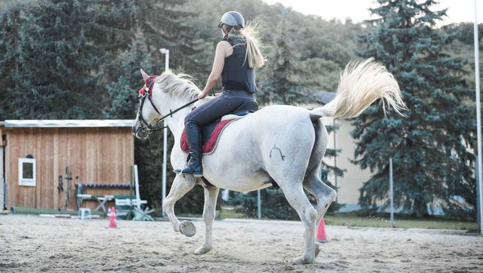 Para montar sobre un caballo se requiere del equipamiento necesario para asegurar la comodidad