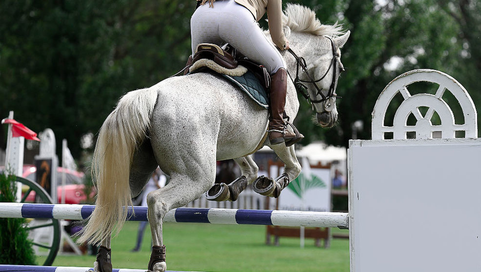 La intoxicación de los caballos se produjo durante un concurso de hípica en Cantabria