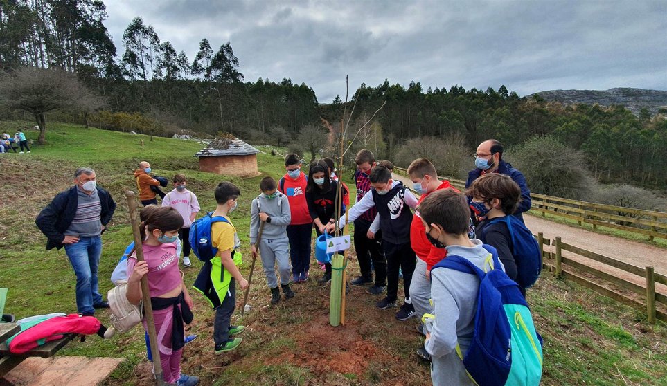 Los alumnos del colegio Dobra plantan árboles en la Fuente de las Palomas