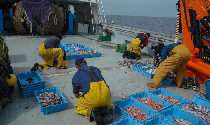 Imagen de archivo de pescadores trabajando