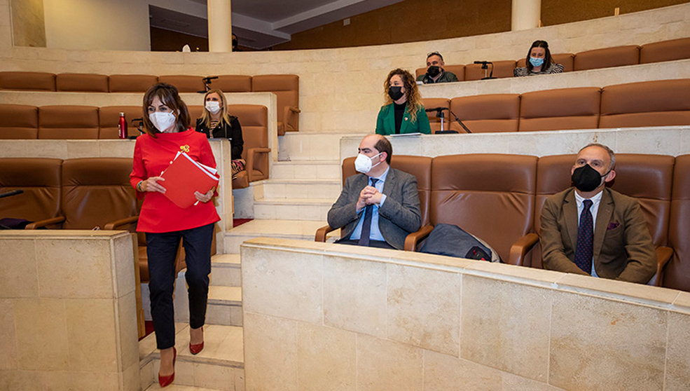 Imagen de la consejera de Empleo y Políticas, Ana Belén Álvarez, en la Comisión de Empleo del Parlamento para dar cuenta del Plan de Empleo Joven de Cantabria.