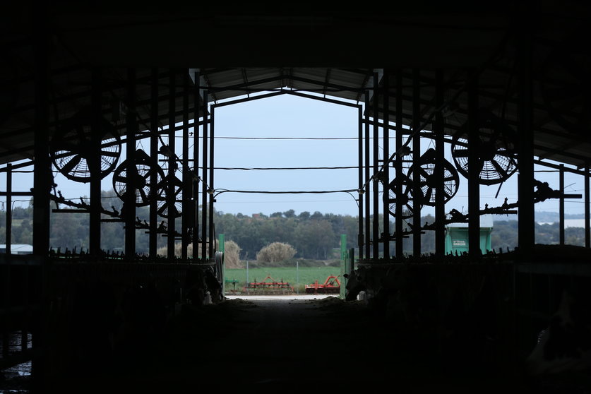 Vista del interior de las instalaciones de una granja