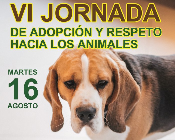Torrelavega Celebra Este Martes La 'Vi Jornada De Adopción Y Respeto Hacia Los Animales'