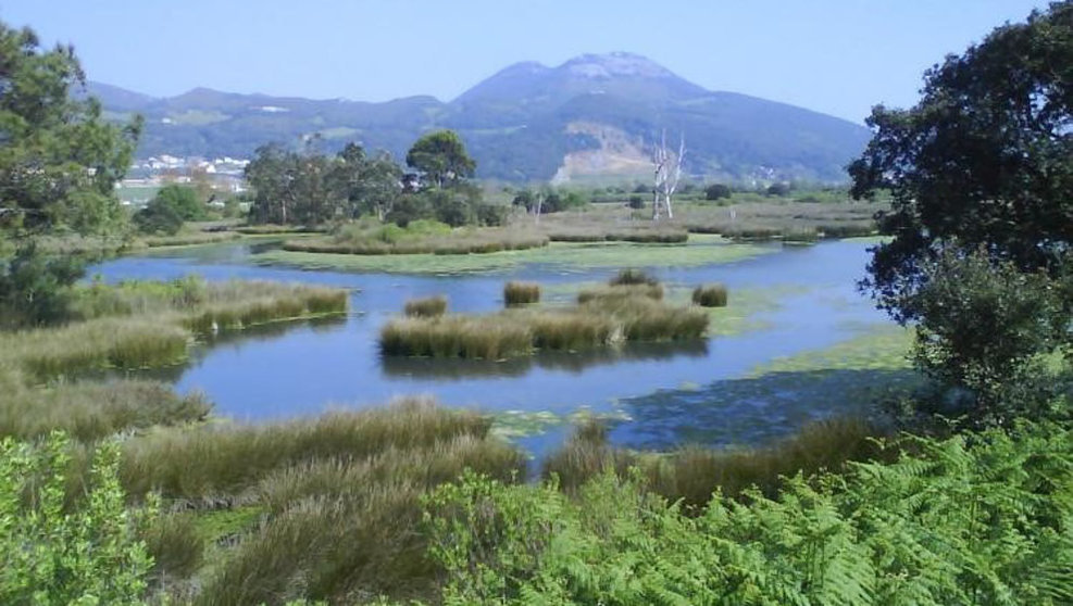 Parque Natural de las Marismas de Santoña, Victoria y Joyel