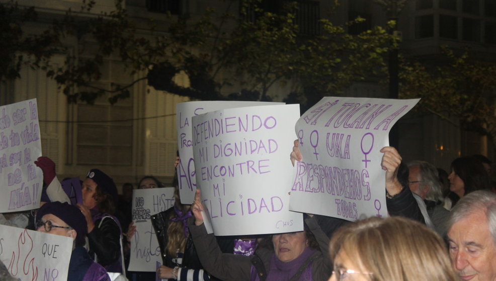Pancartas de la manifestación contra la violencia de género en Santander el 25N | Foto- edc