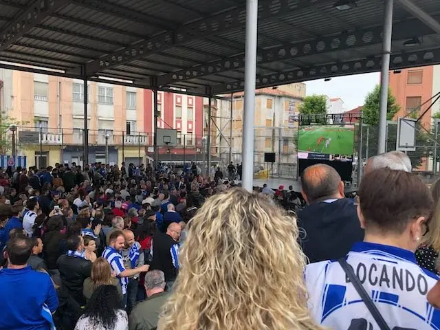 WhatsApp Image 2018-05-27 at 14.35.10-2