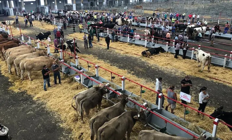 Mercado Nacional de Ganados