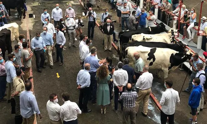 WhatsApp Image 2020-07-29 at 16.31.48