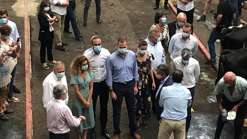 WhatsApp Image 2020-07-29 at 16.31.49