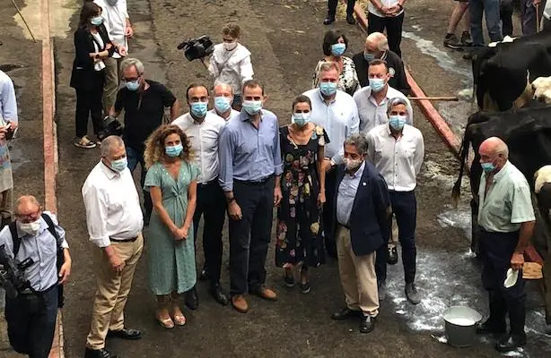 WhatsApp Image 2020-07-29 at 16.31.50-2