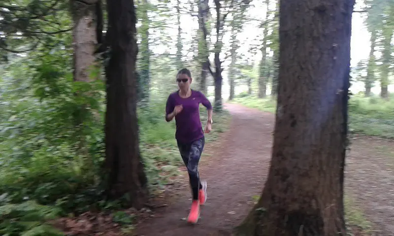 Ck1RouXWkAAvGx8.jpg-large