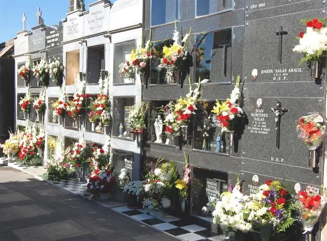 El objetivo de la Junta es regular las instalaciones disponibles en el cementerio para seguir ofreciendo este servicio a los vecinos de Vio&ntilde;o
