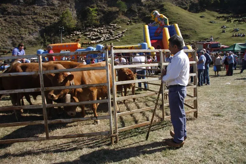 Revilla en la feria de San Miguel de Puente Nansa
