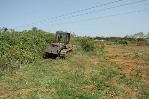 regeneracion_humedales