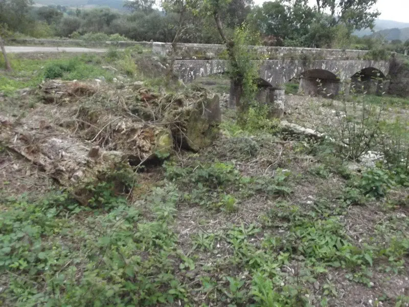 Ecologistas en acci&oacute;n