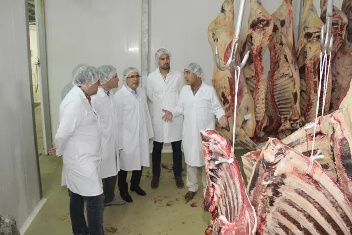 Matadero de Torrelavega