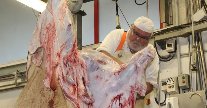 Instalaciones del matadero del Torrelavega