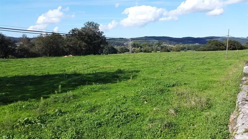 Terreno de Pi&eacute;lagos