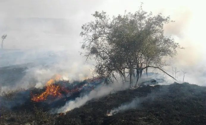 Hay cinco incendios activos en Cantabria