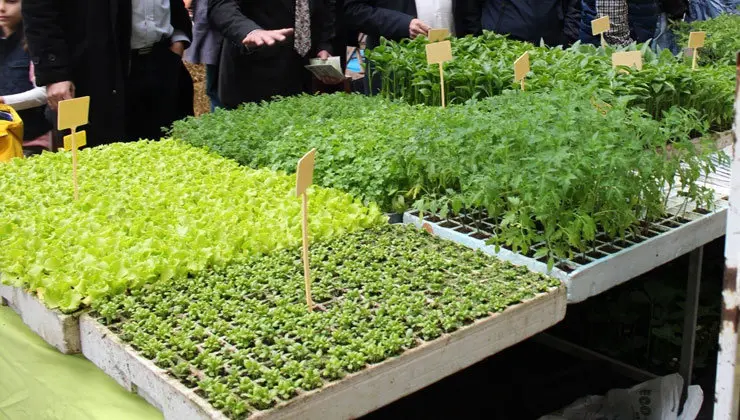 Se podr&aacute;n adquirir numerosos ejemplares