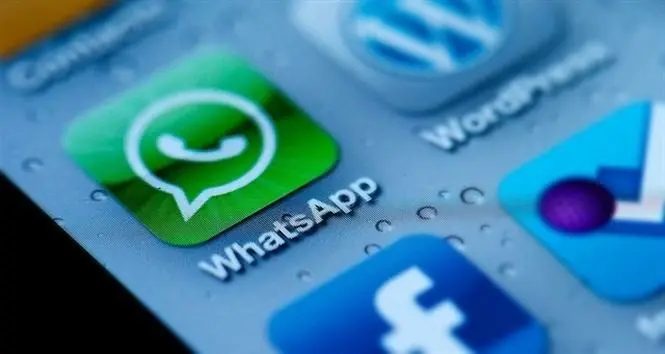 Cerca de 100 grupos de WhatsApp ten&iacute;an tem&aacute;tica ped&oacute;fila