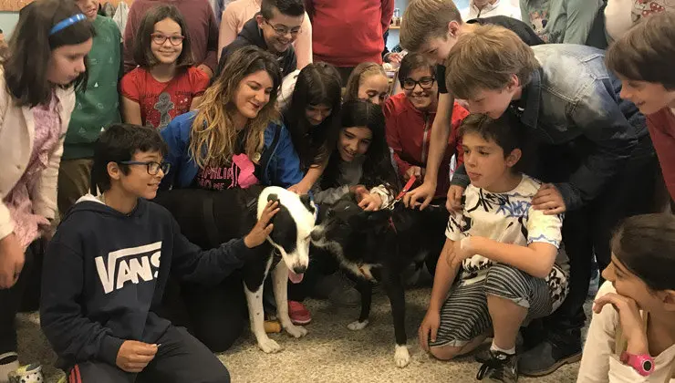 Participantes en el programa