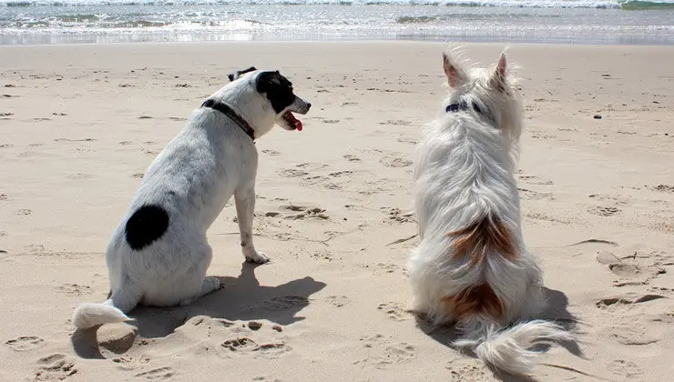 Supone un aliciente tur&iacute;stico m&aacute;s