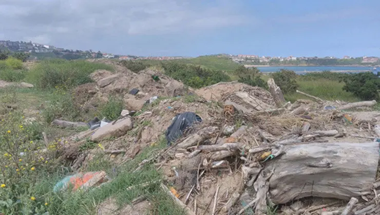 Imagen facilitada por Equo Miengo