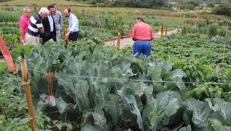 Visita a los huertos