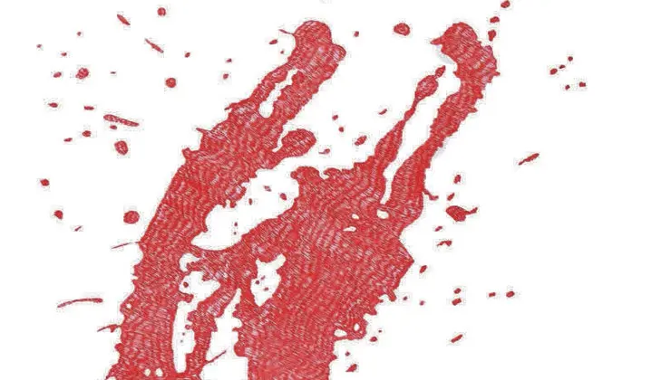 Imagen de la muestra