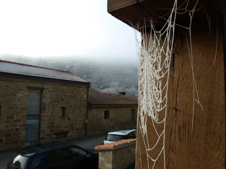 fotonoticia_20171205091957_1920