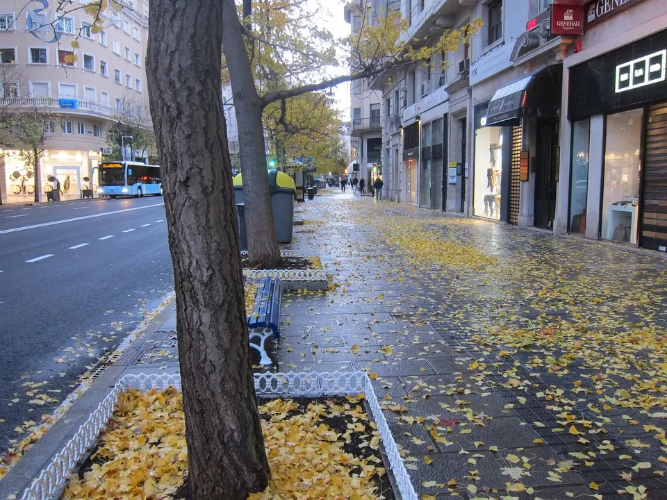 fotonoticia_20171212095643_1920