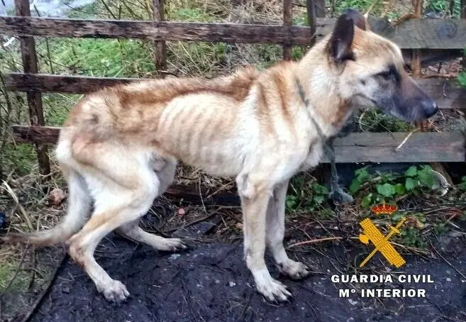 fotonoticia_20171215140111_1920