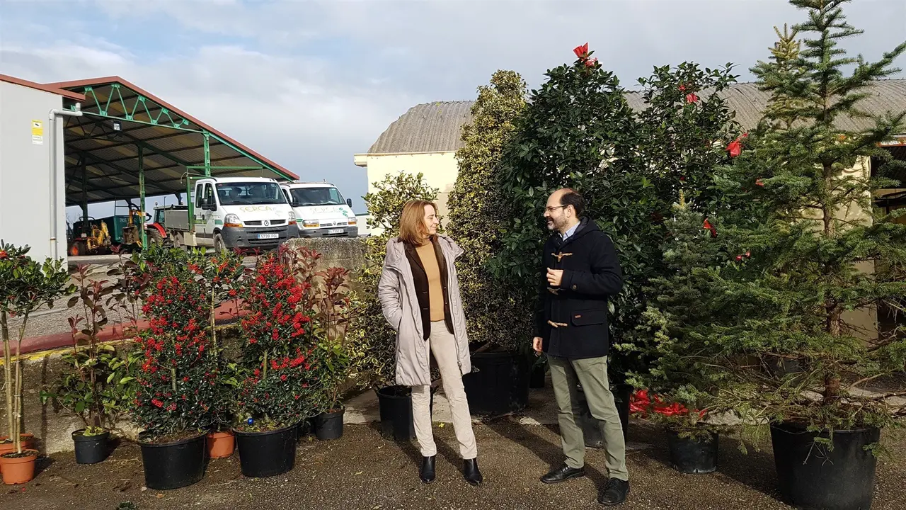 %22Los &aacute;rboles son para crecer%22