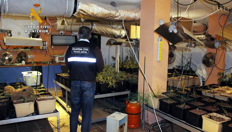 La Guardia Civil ha detenido a un hombre que pose&iacute;a una plantaci&oacute;n 'indoor' en Pi&eacute;lagos
