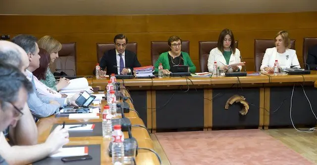 Mar&iacute;a Luisa Real en la Comisi&oacute;n de Sanidad