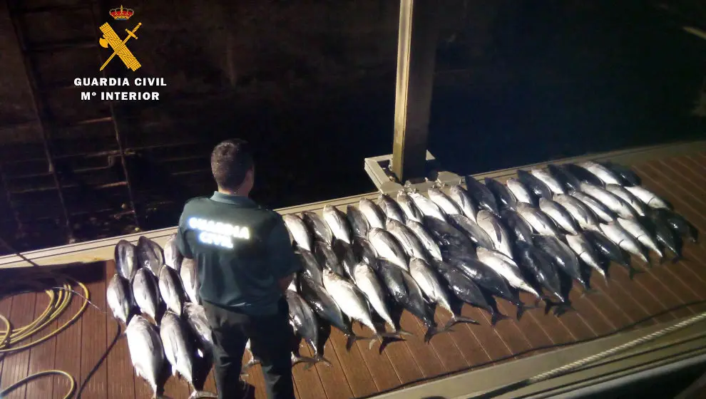 Bonitos intervenidos en las dos embarcaciones de recreo