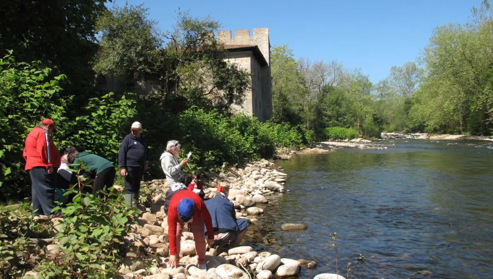 'Proyecto R&iacute;os'