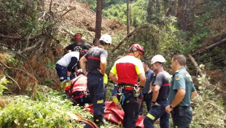 Herido grave tras caerle una rama