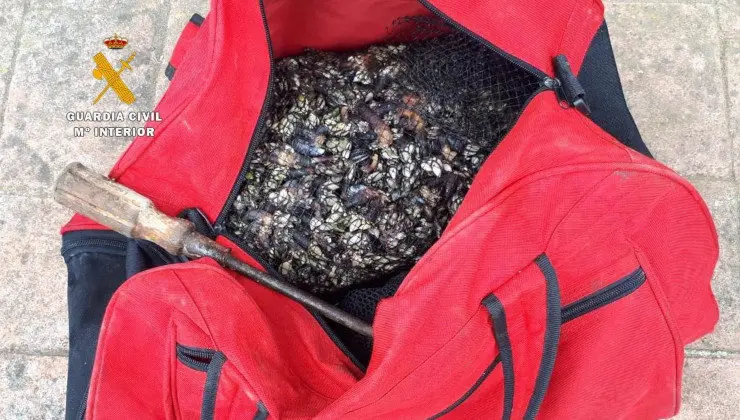Intervenidos 30 kilos de percebes