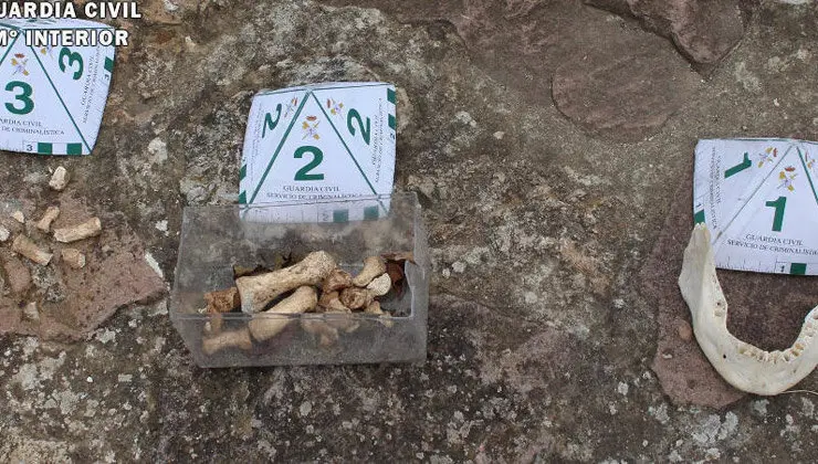 Imagen de los restos encontrados