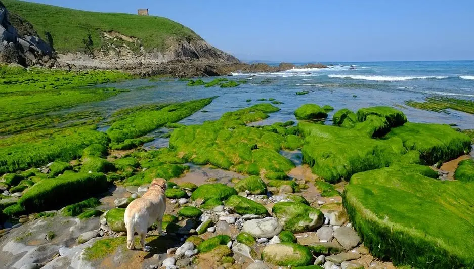 Paisaje-c&aacute;ntabro