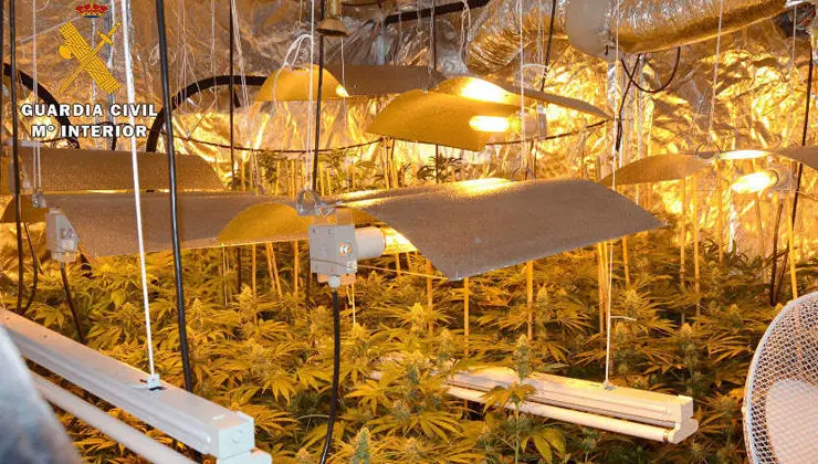Plantaci&oacute;n indoor de marihuana