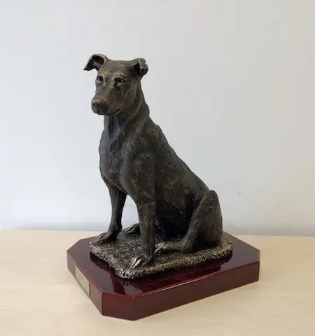 premio 'Excalibur, Ciudad de Torrelavega'